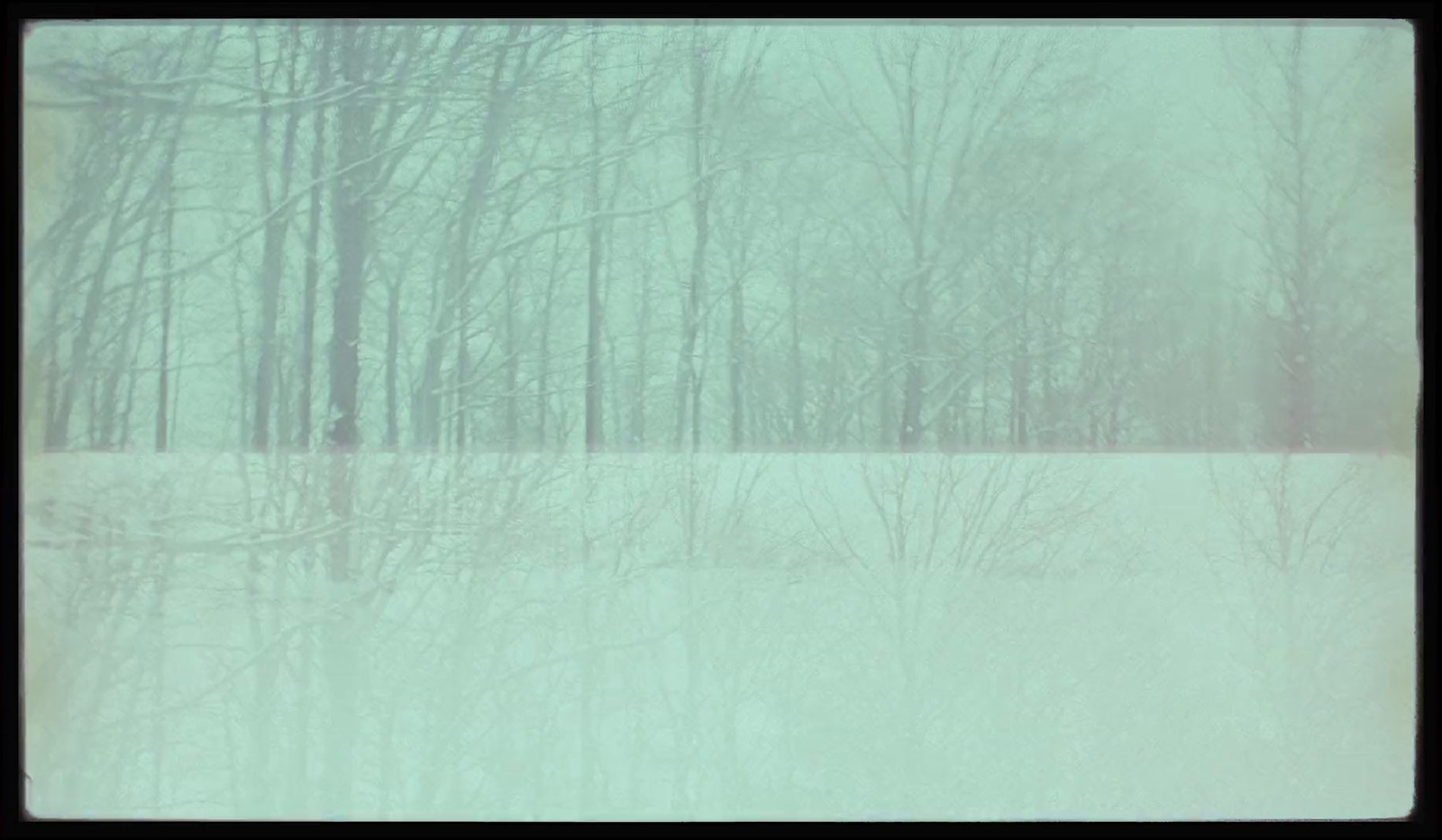 a picture of a snowy landscape with trees