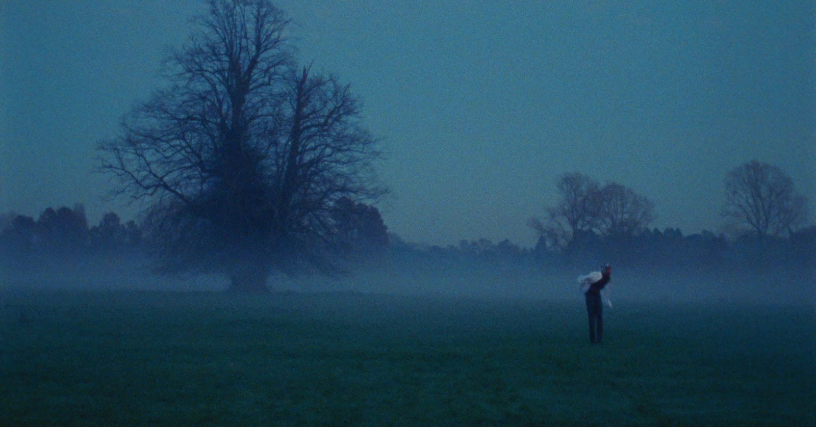 a person standing in a foggy field holding a kite