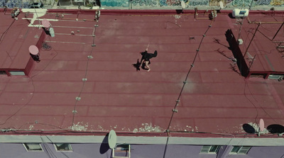 an aerial view of a rooftop with a dog on it