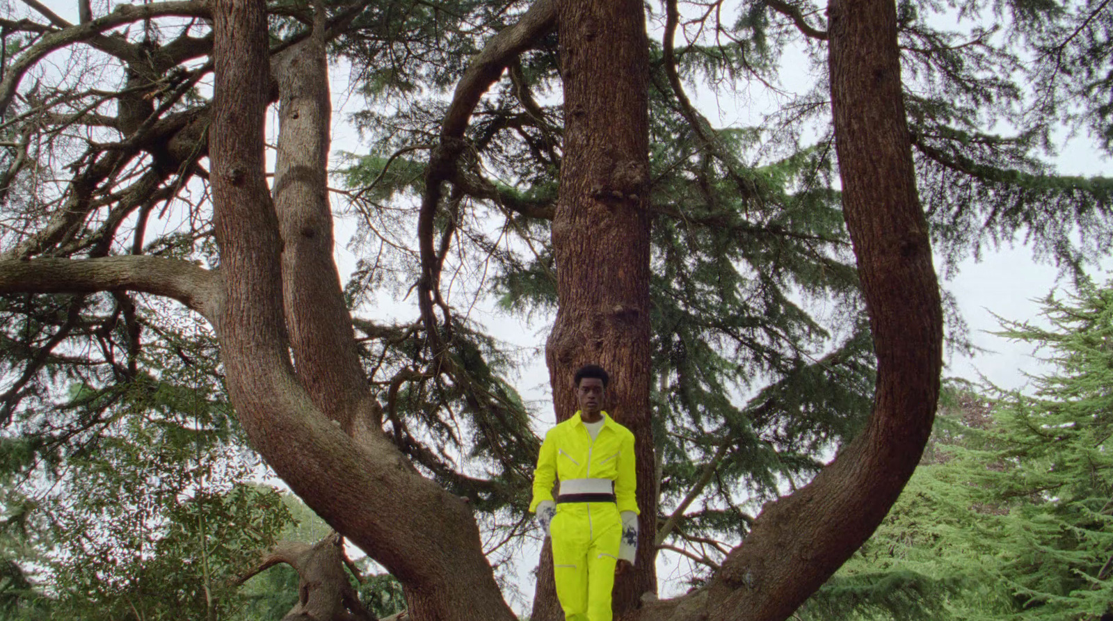 a man in a yellow suit standing in a tree