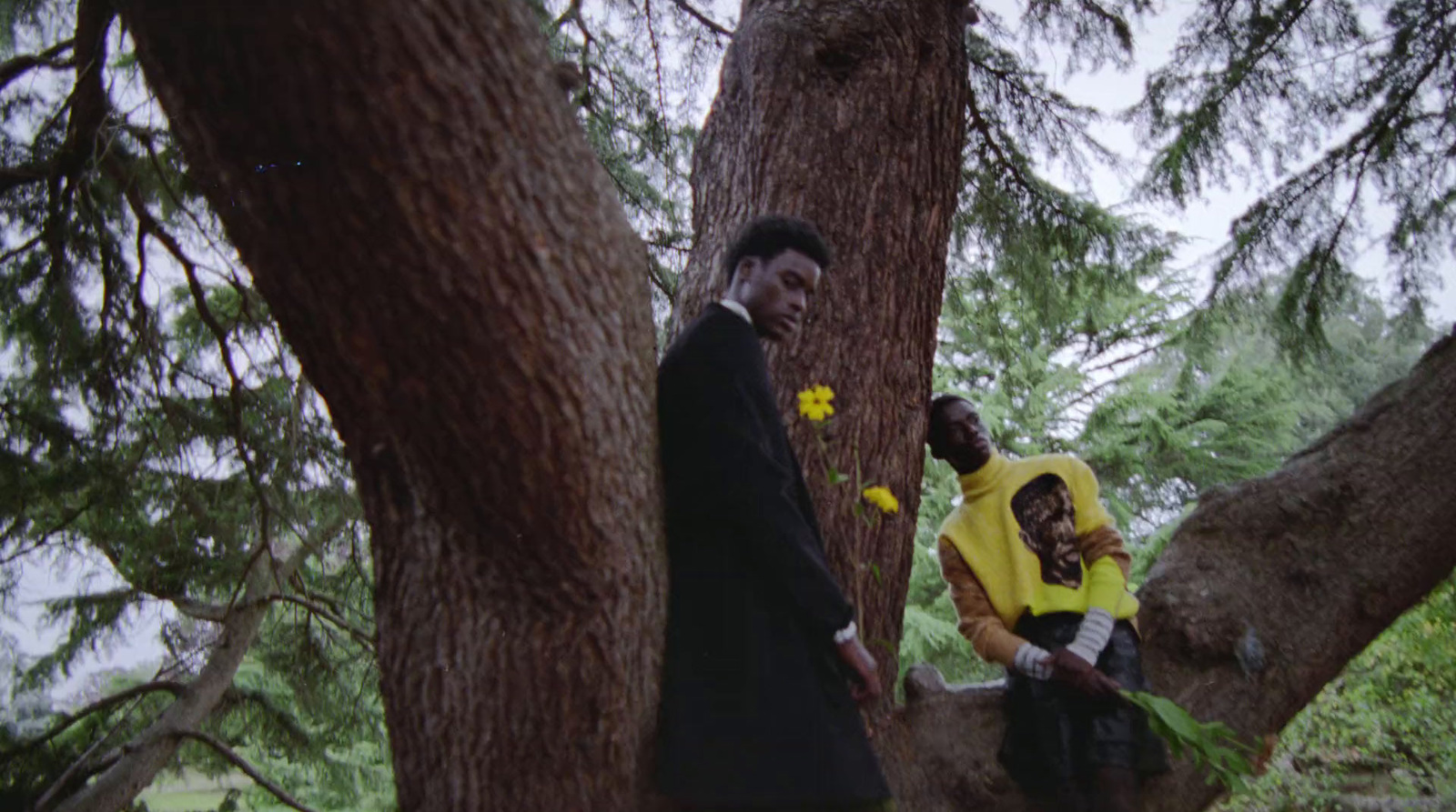 a man and a woman sitting on a tree branch