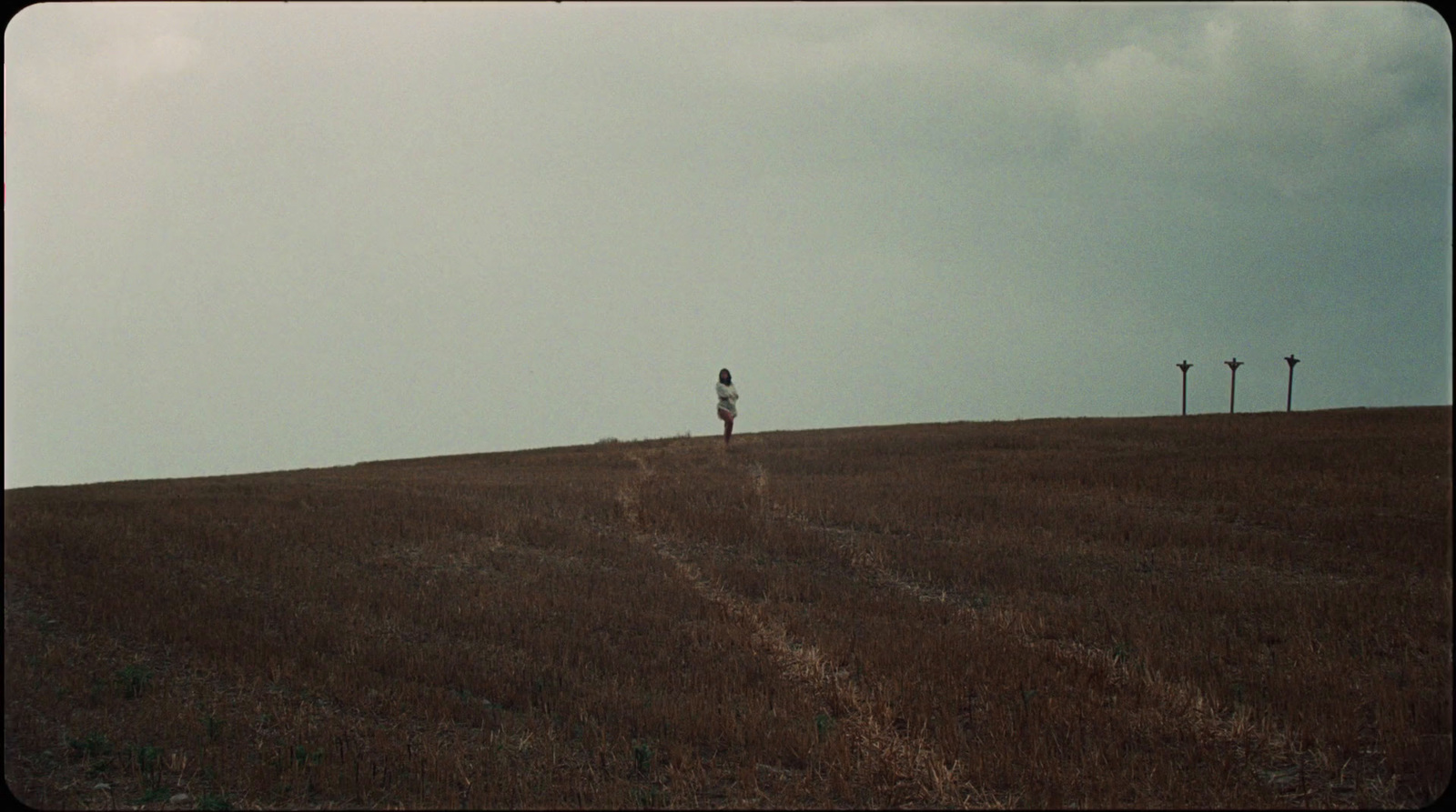 a person standing on top of a grass covered hill