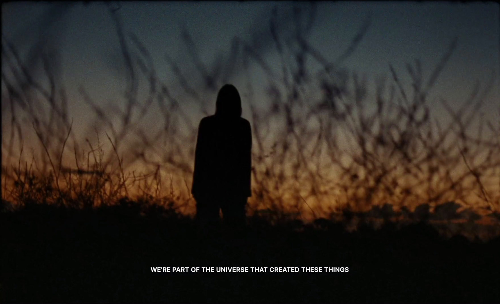 a silhouette of a person standing in a field at sunset