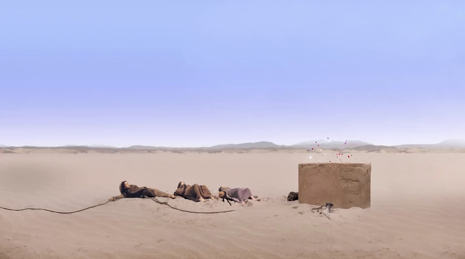 a group of animals laying on top of a sandy field