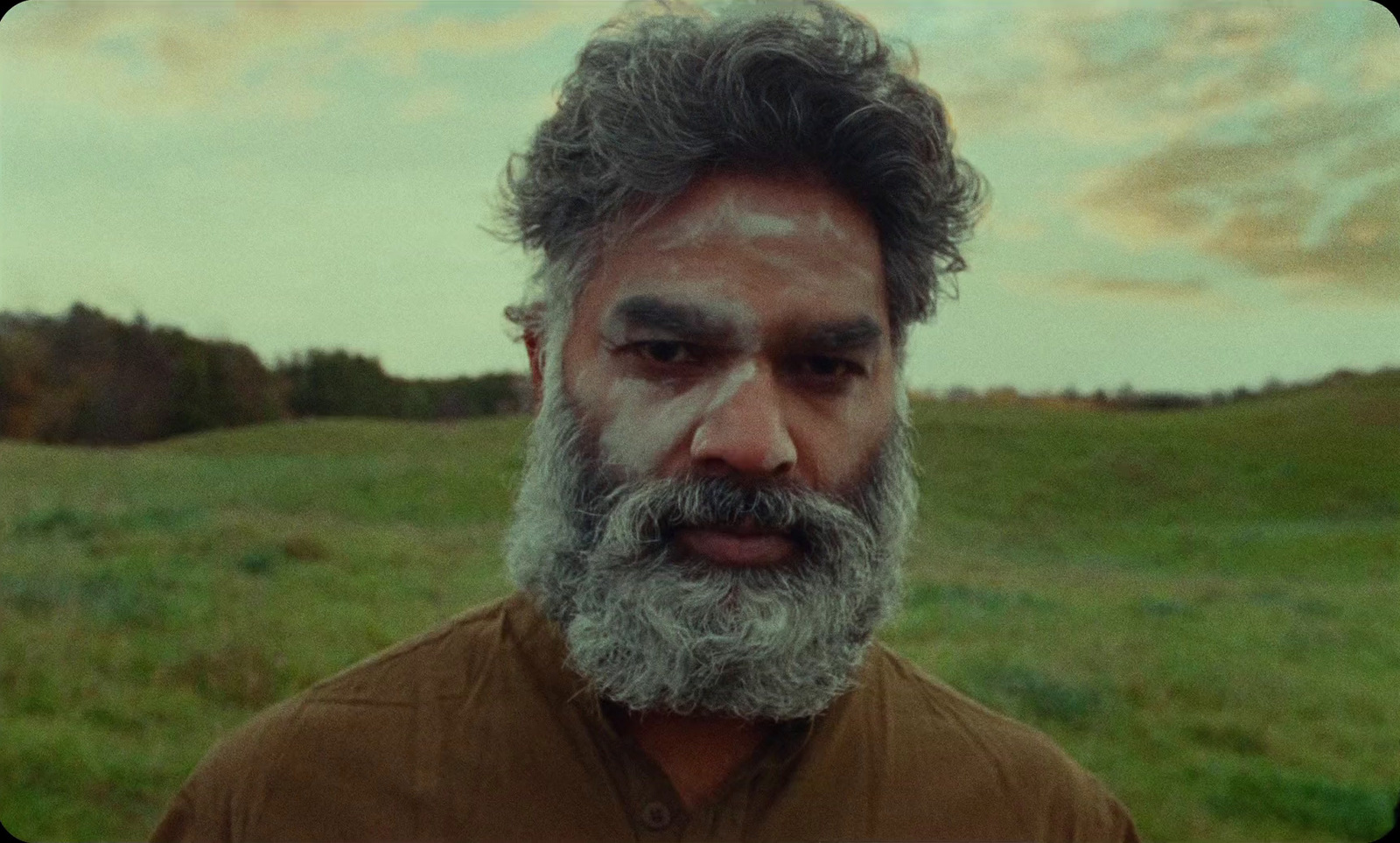 a man with grey hair and beard standing in a field