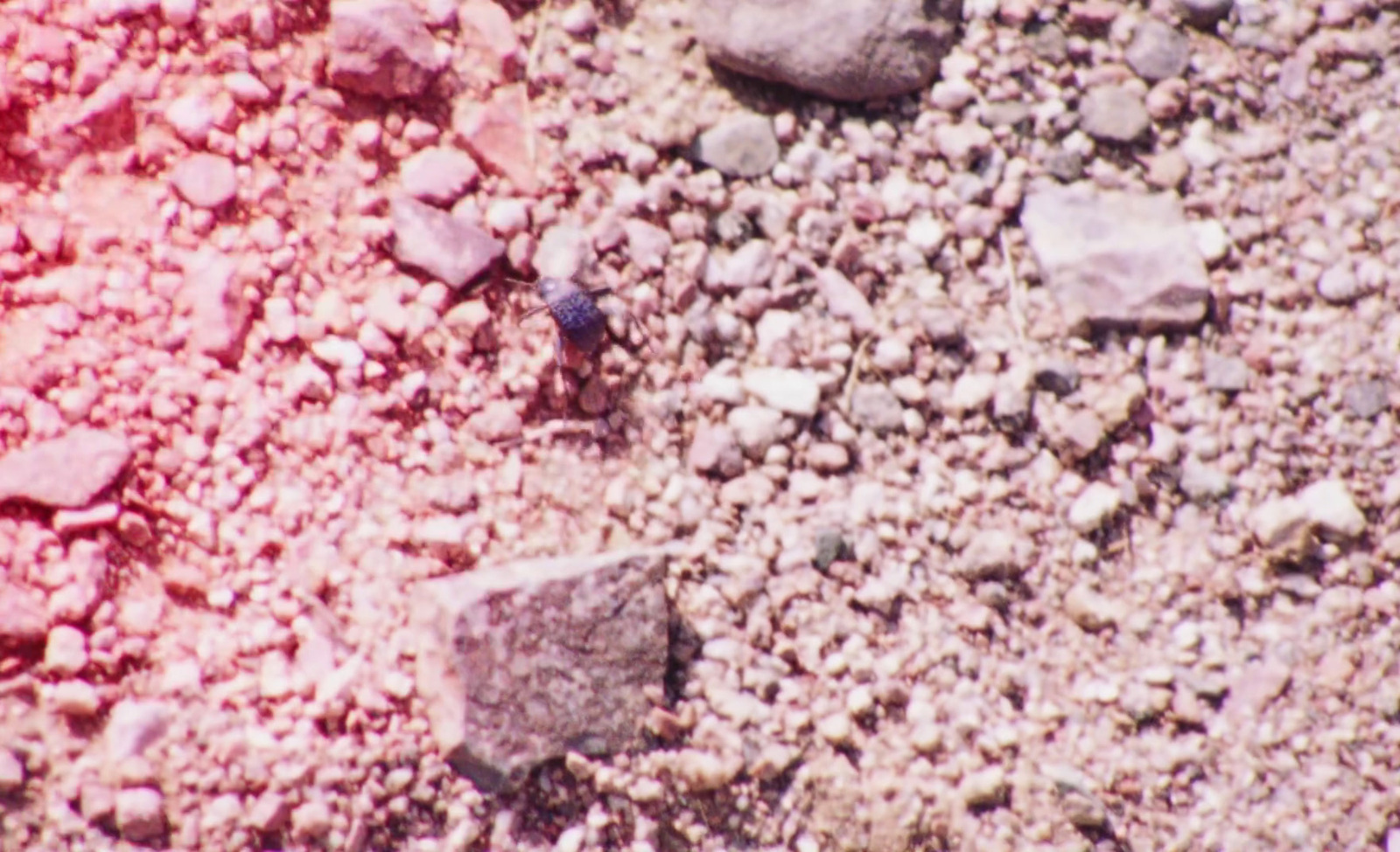 a red and white photo of rocks and gravel