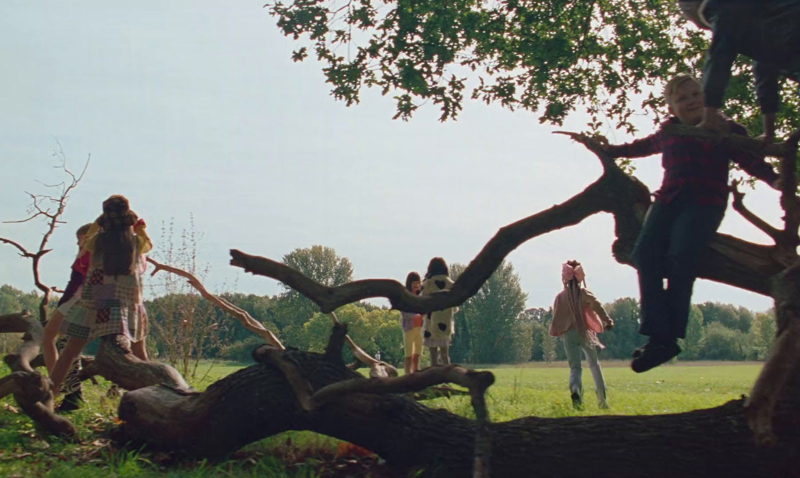 a group of people standing on top of a tree