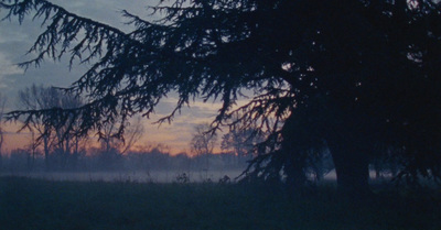 the sun is setting behind a tree in a field