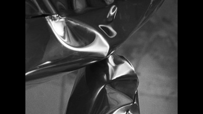 a black and white photo of a shiny metal object