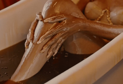 a close up of a bath tub filled with liquid