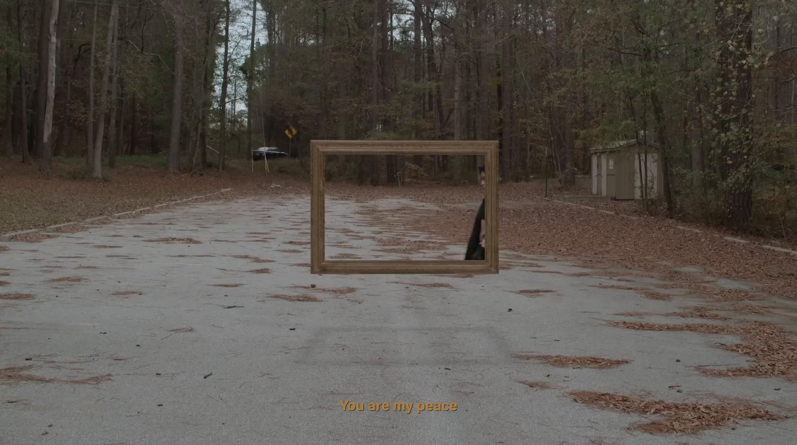 a picture frame sitting in the middle of a road