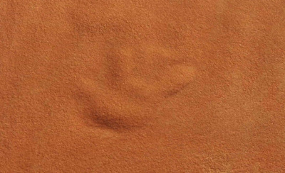 a close up of a brown sand surface