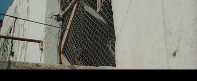 a bird is perched on the side of a building