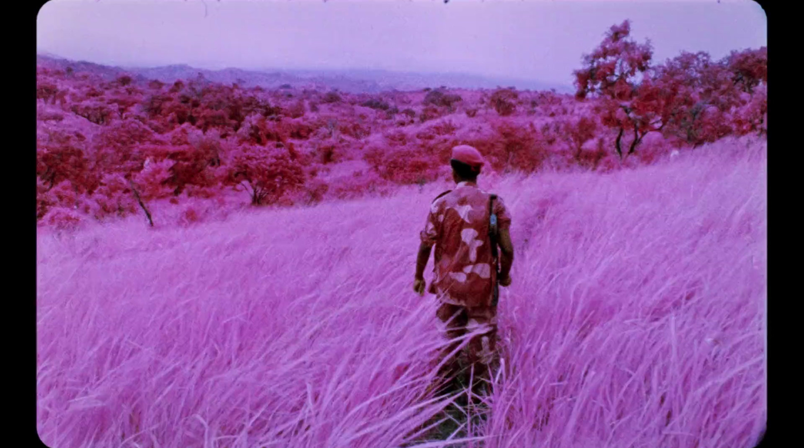 a man standing in a field of purple grass