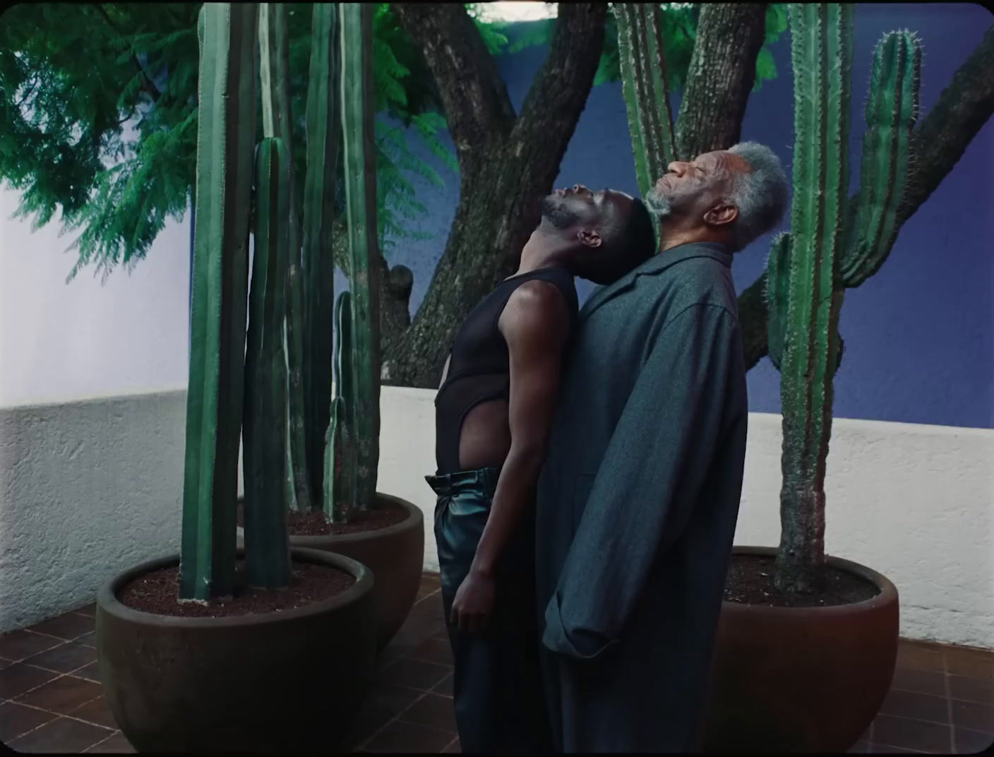 a man and a woman standing in front of a cactus