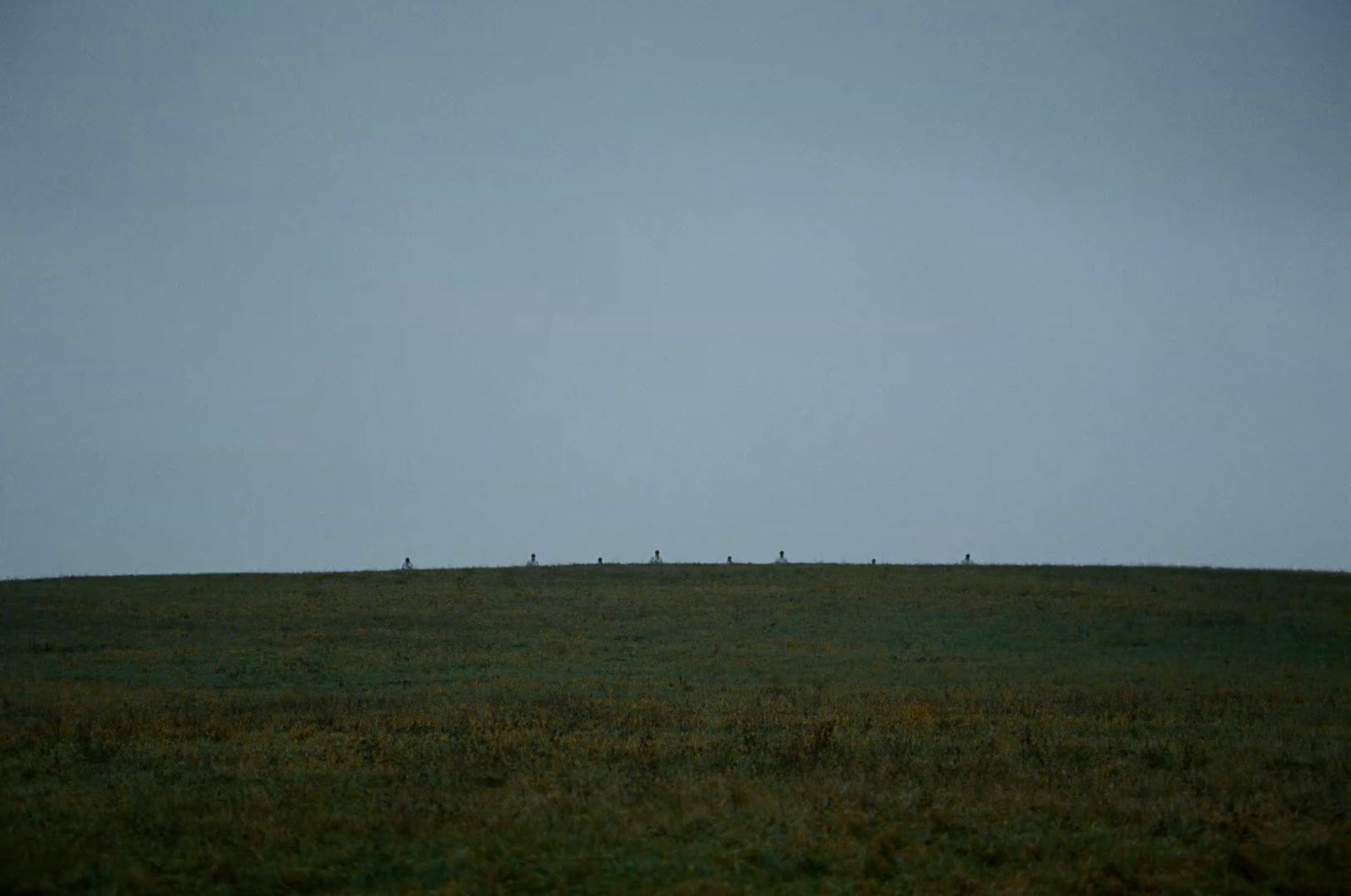 a group of people standing on top of a lush green field