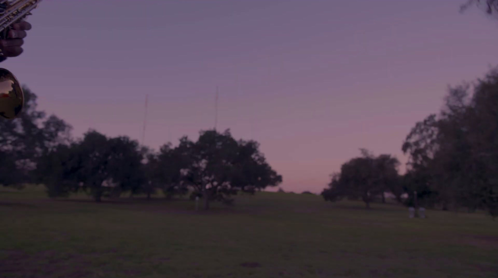 a person playing a saxophone in a field