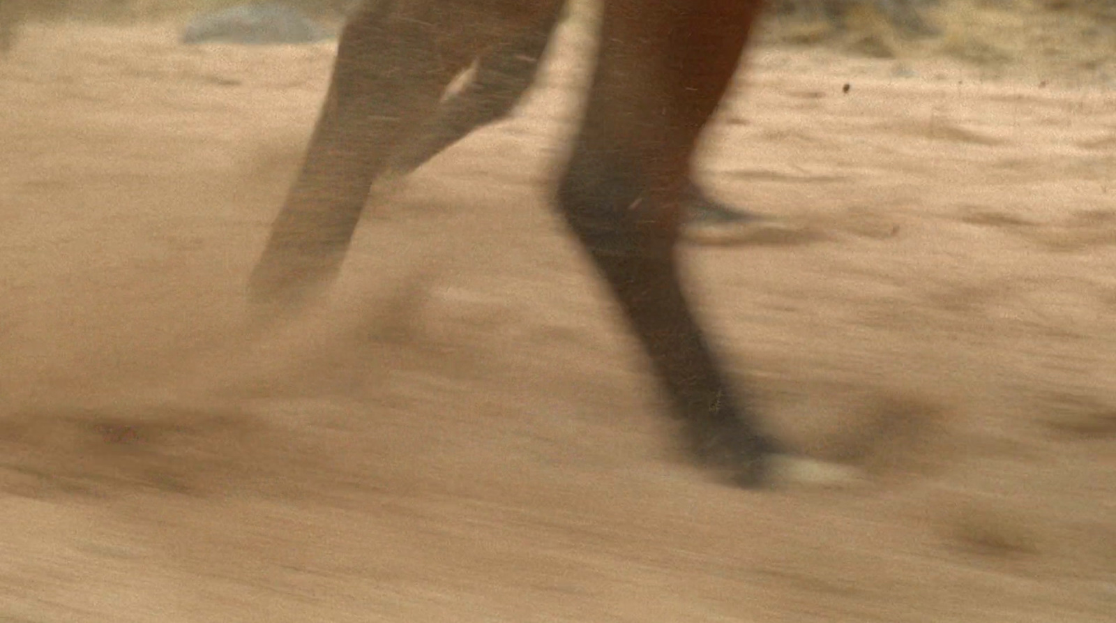 a close up of a person walking a horse