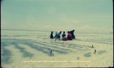 a group of people sitting on top of a sandy beach