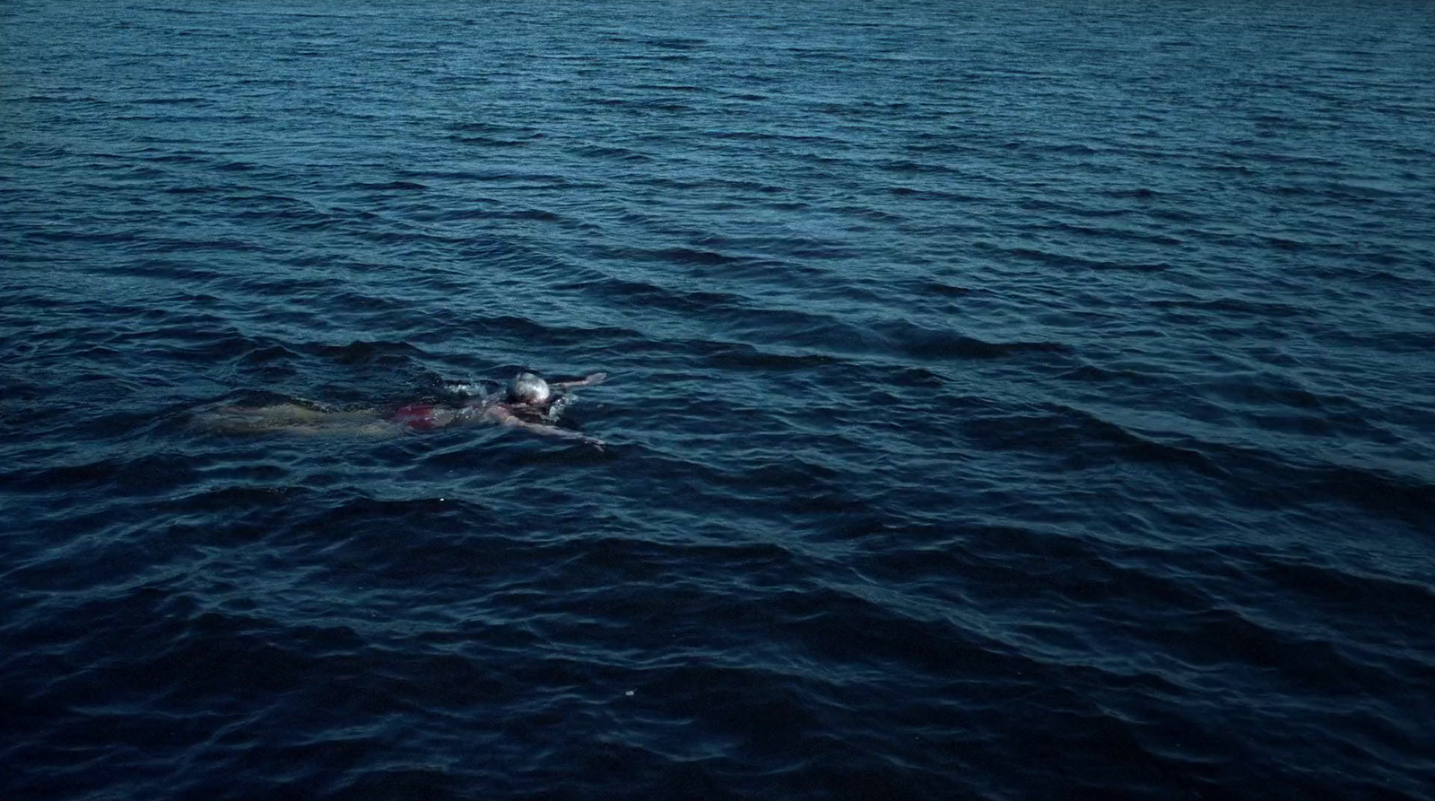 a person swimming in the ocean with a dog