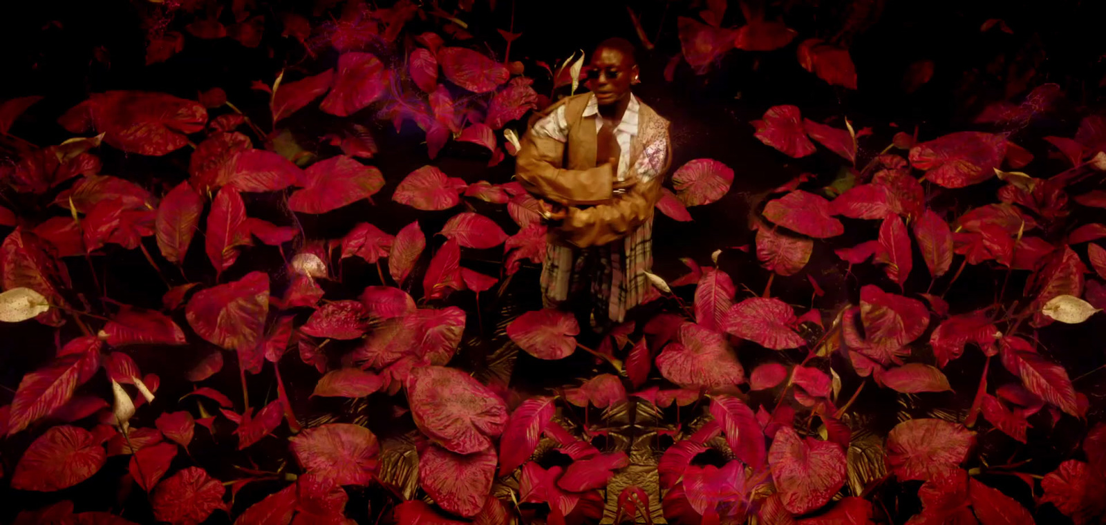 a man standing in a field of red leaves