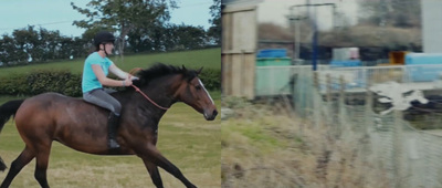 a person riding a horse in a field