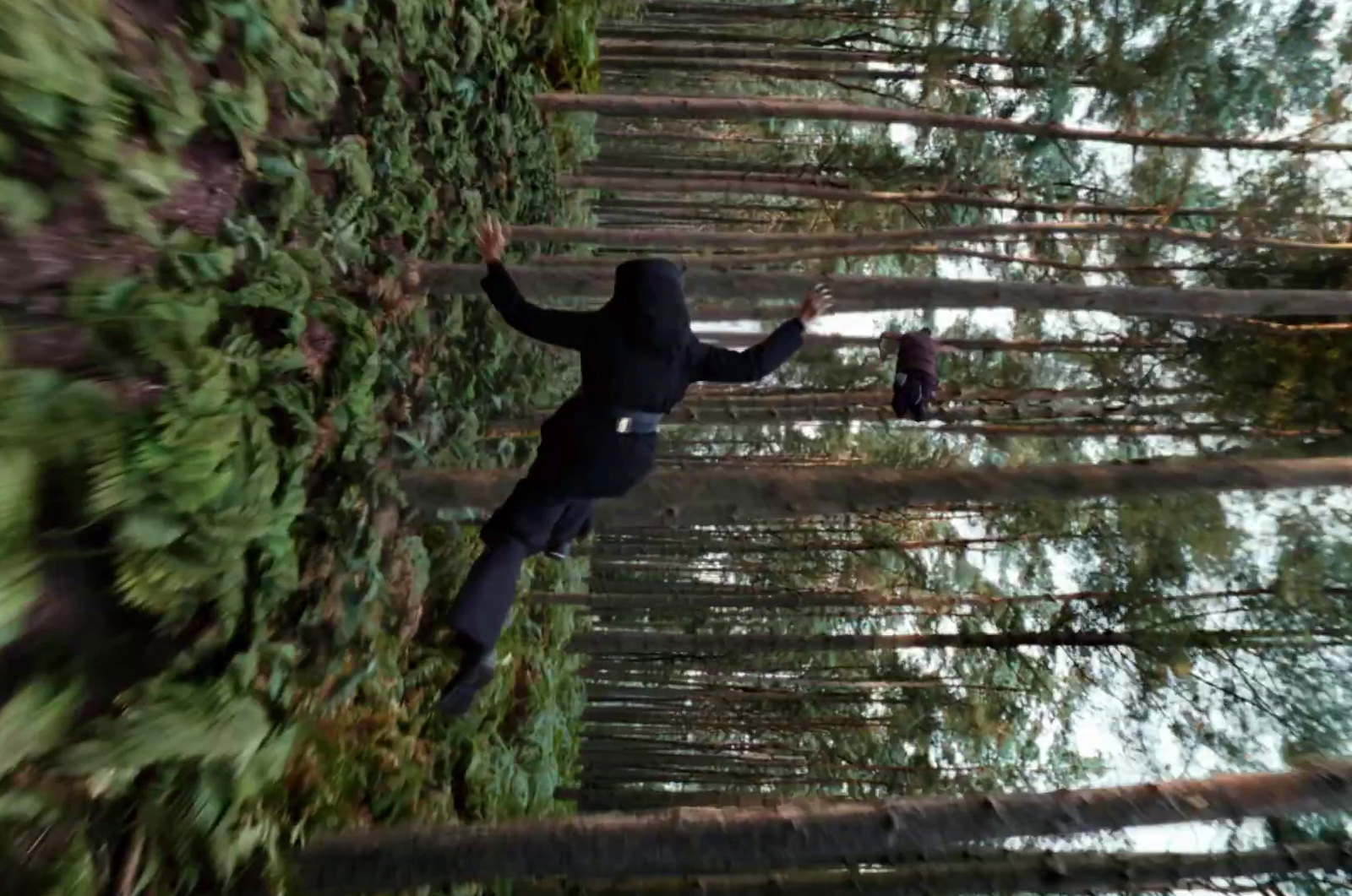 a person in a black jacket is standing in the woods