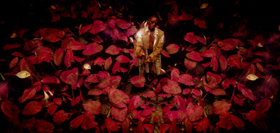 a man standing in a field of red leaves