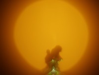 a blurry photo of a person standing in front of a sun