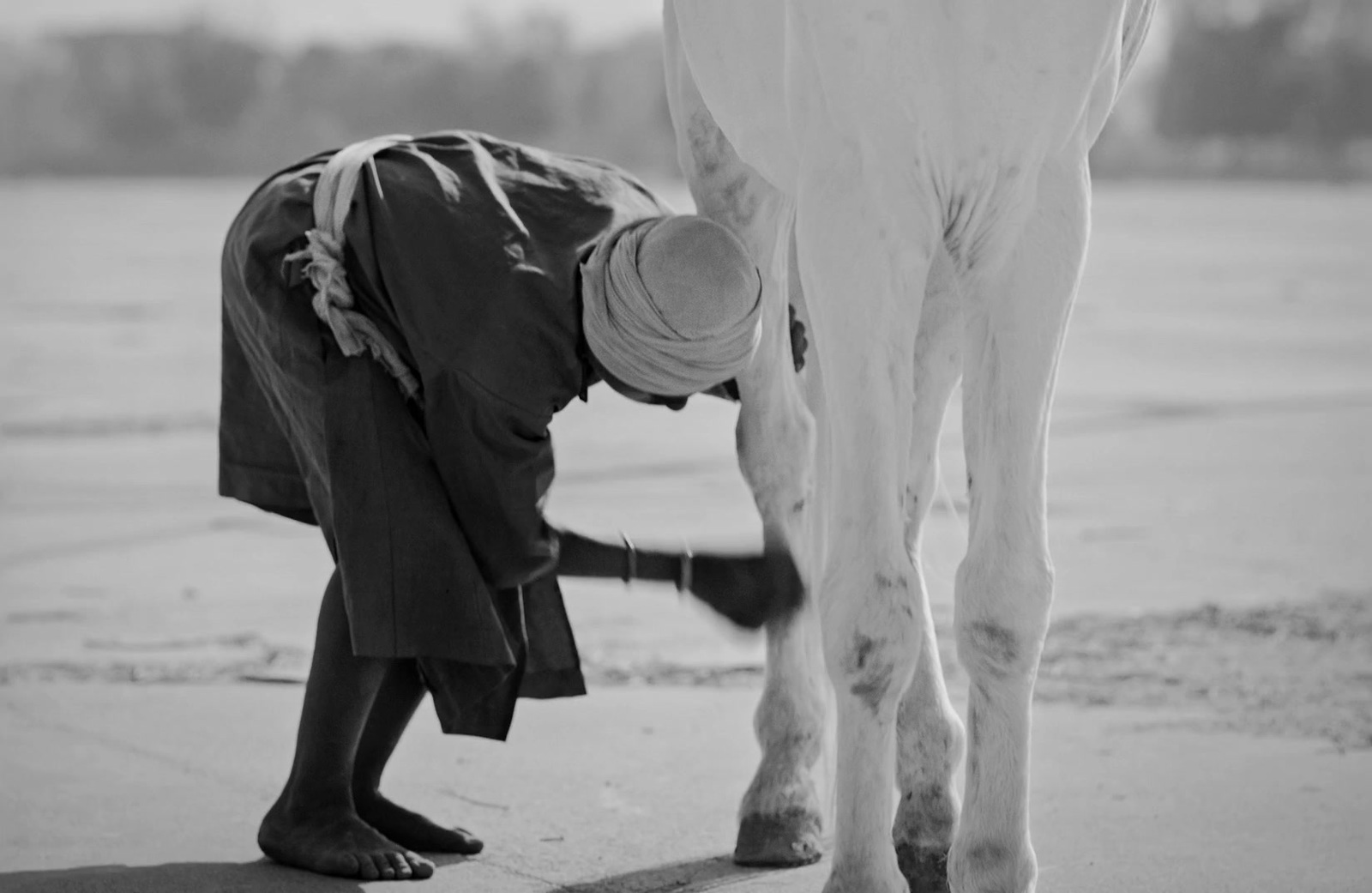 a person bending down to pet a horse