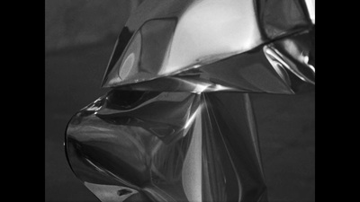 a black and white photo of a shiny object