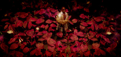 a man standing in a field of red leaves