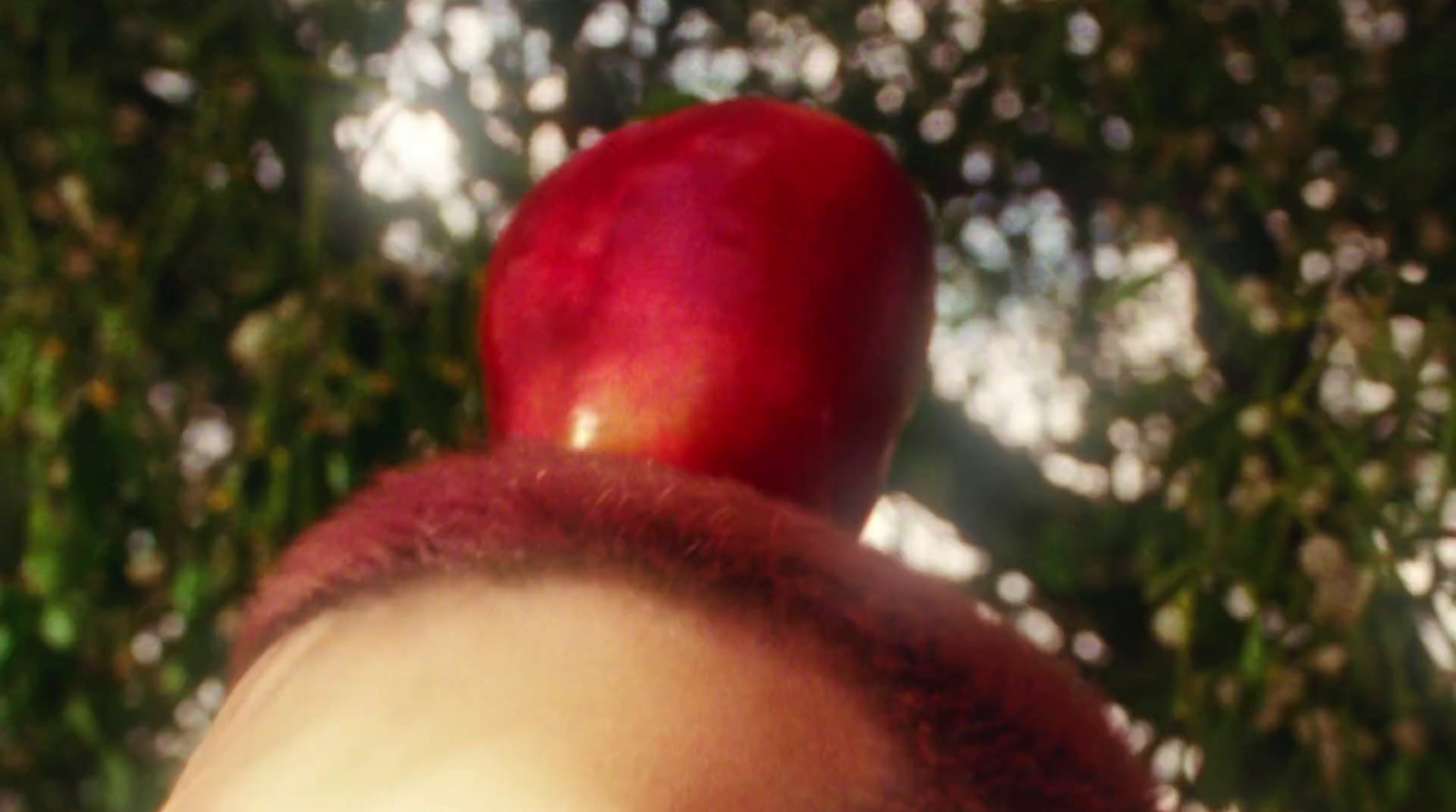 a woman with a red apple on her head