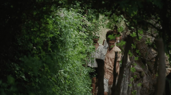 a group of people walking through a forest