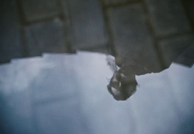 a reflection of a person in a puddle of water