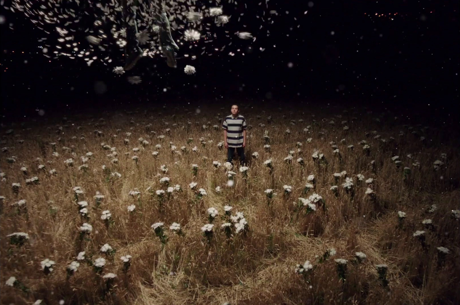 a man standing in a field of flowers