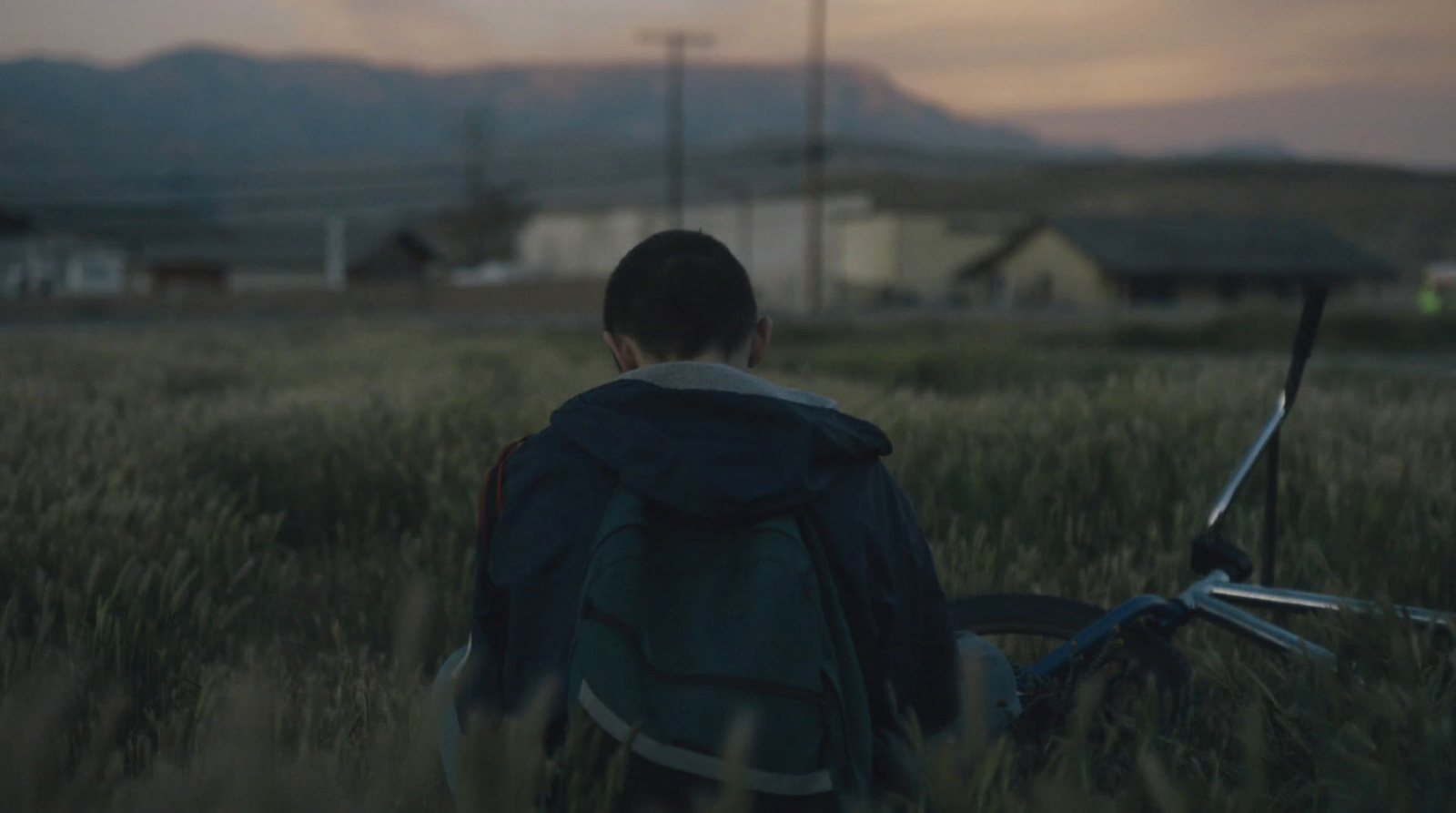 a person sitting in a field with a laptop