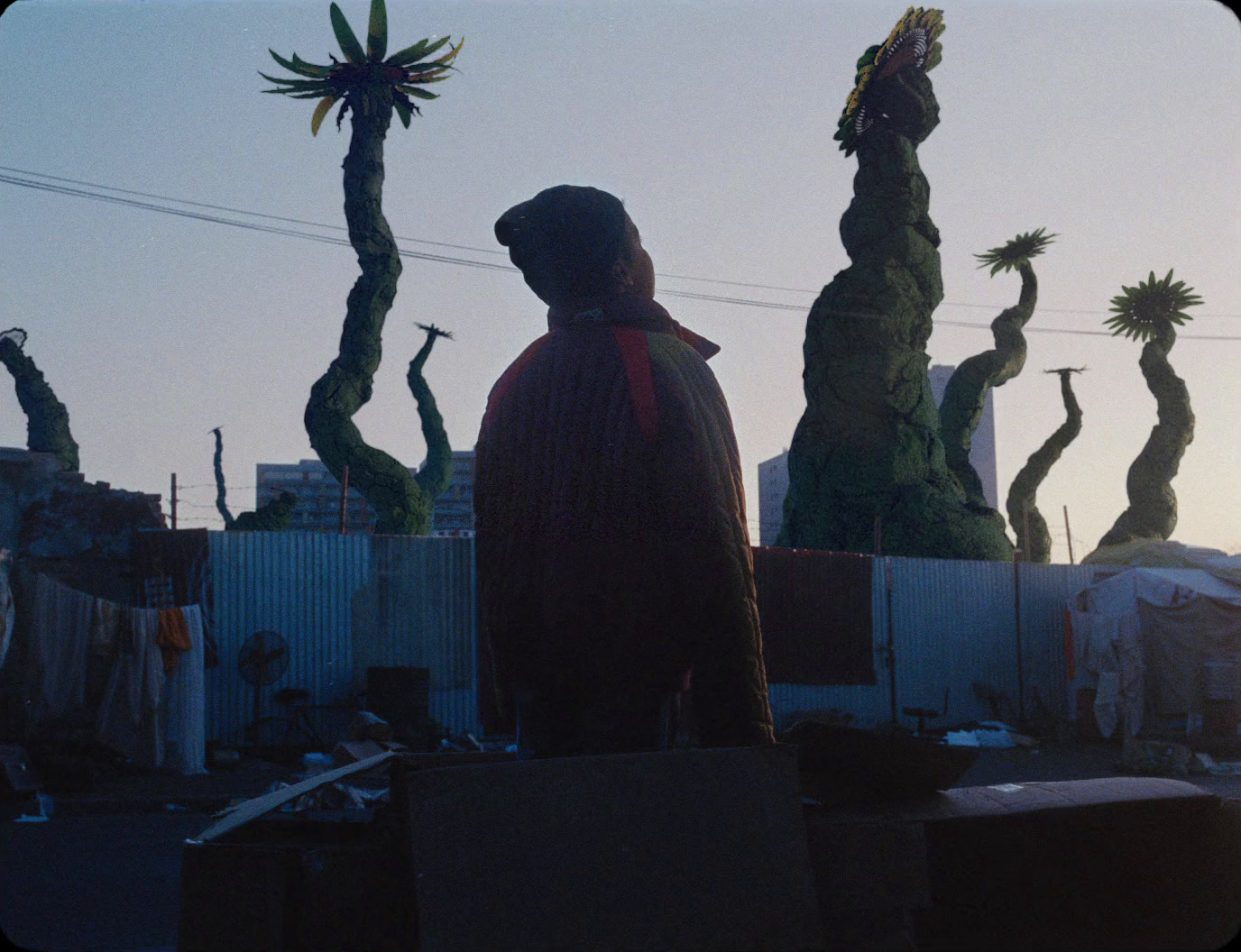 a man standing in front of a bunch of fake trees