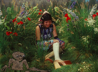 a painting of a girl sitting in a field of flowers