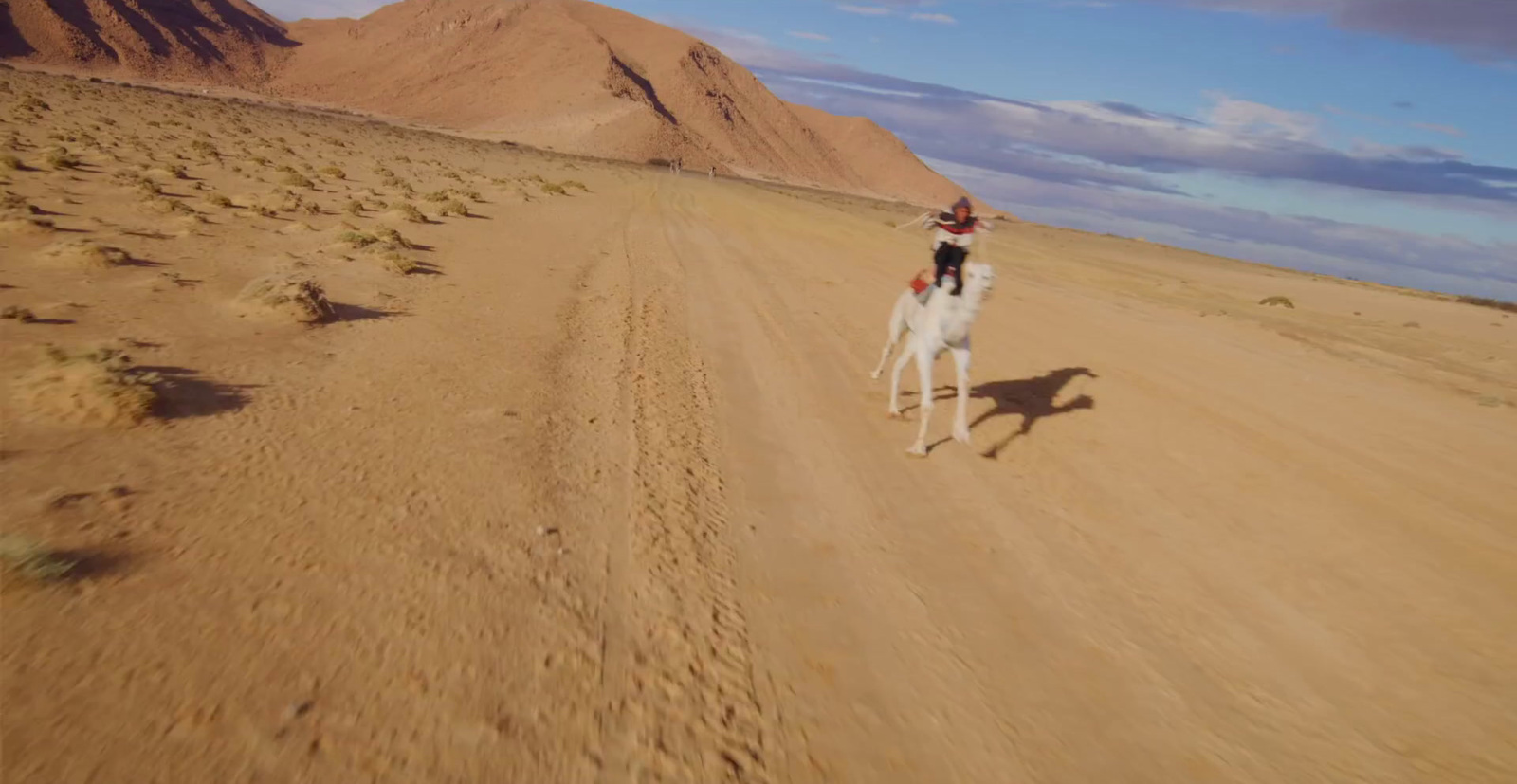 a person riding a horse on a dirt road