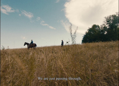 two people riding horses in a field of tall grass