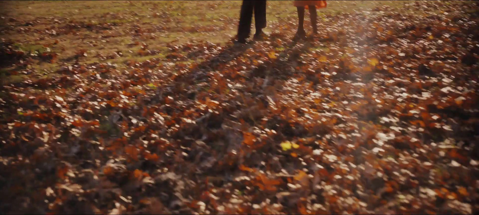 a couple of people standing in a field of leaves