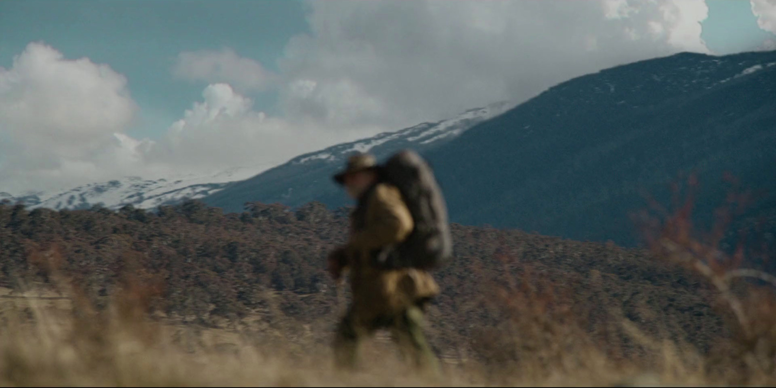 a man walking through a field with a mountain in the background