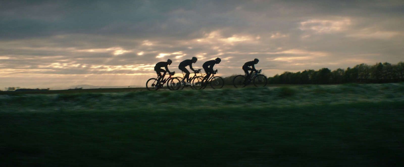 a group of people riding bikes down a lush green field