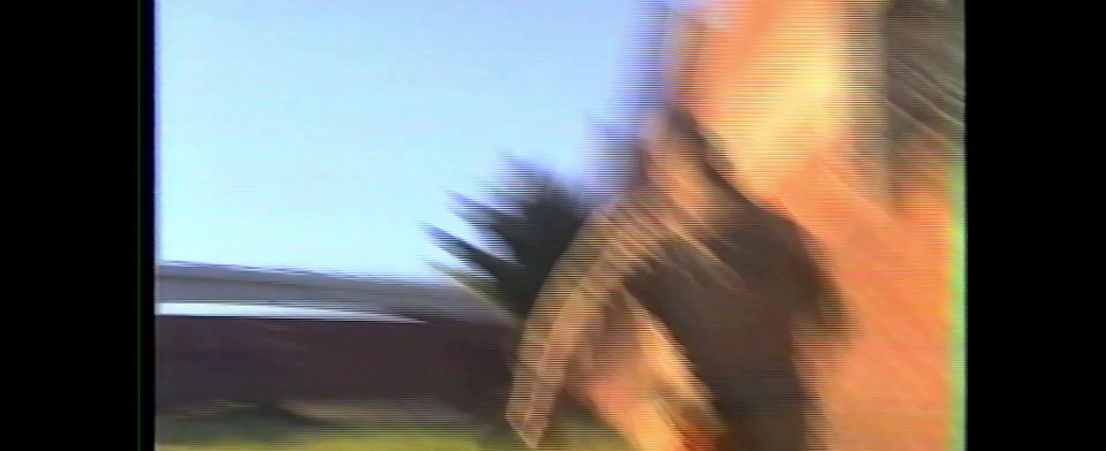 a blurry photo of a horse running in the grass