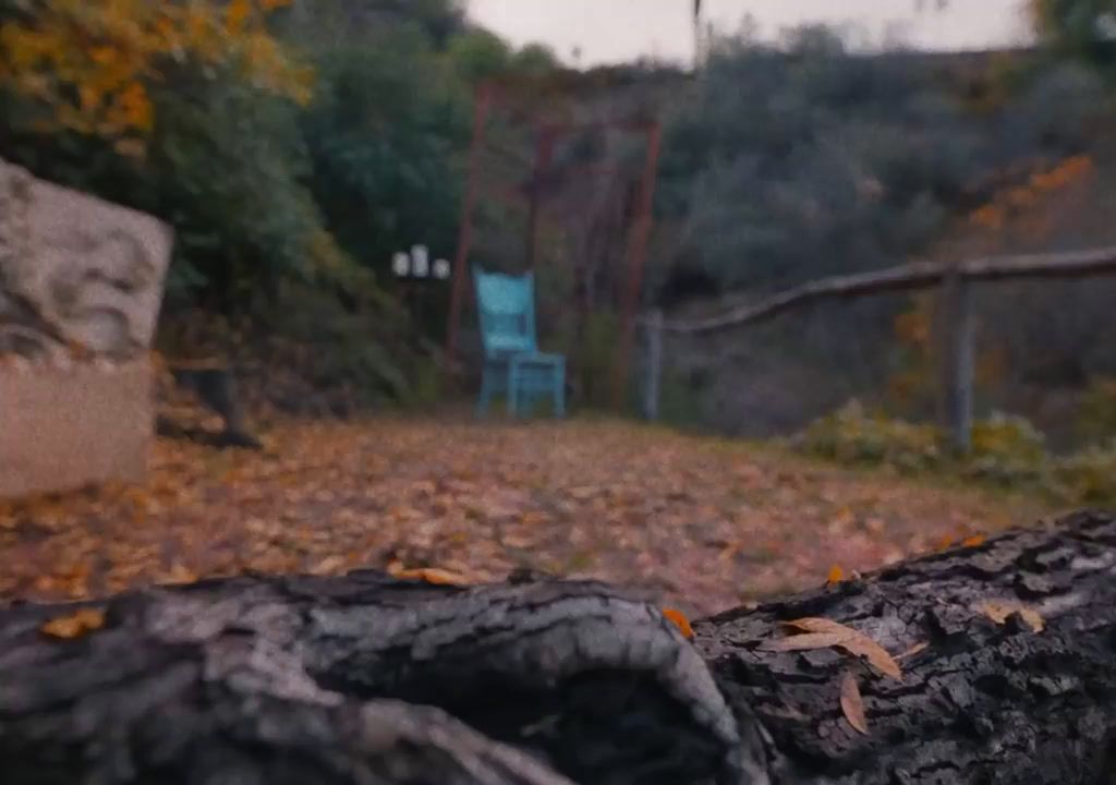 a blue chair sitting on top of a tree stump