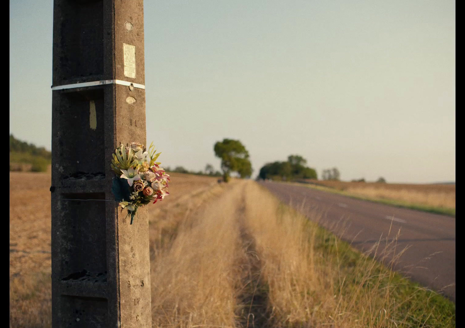 a wooden post with a bouquet of flowers attached to it