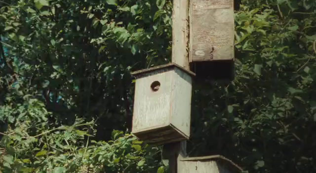 a bird house in the middle of a forest