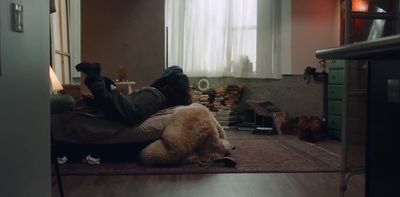 a person laying on the floor with a dog