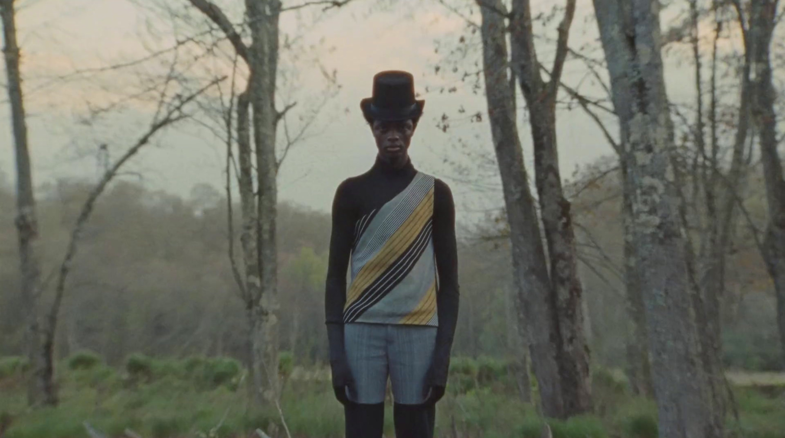 a man standing in the middle of a forest